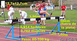 El deporte es un arte, seamos unos excelentes artistas: Carrera con